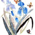 Haiku Flowers