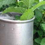 Cocktail Mint