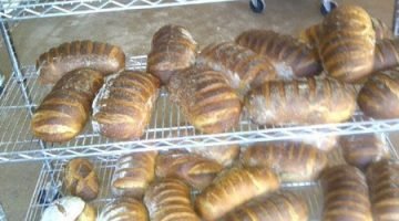 Fleur de lis Portland Bakery