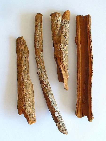 Cinchona Officinalis