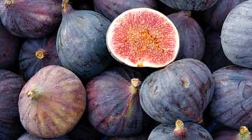 Figs