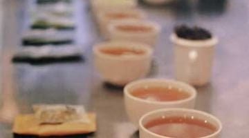 Smith Teamaker - Set up for tasting