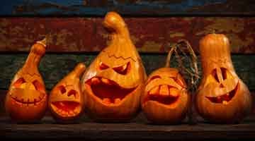 Halloween pumpkin squash