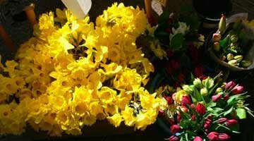 Portland Farmers Market