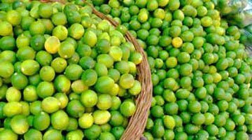 limes - 360px