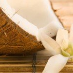 Coconut